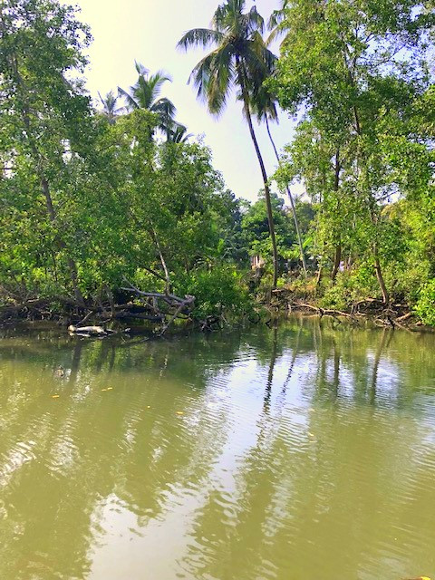 Adventures in South Sri Lanka