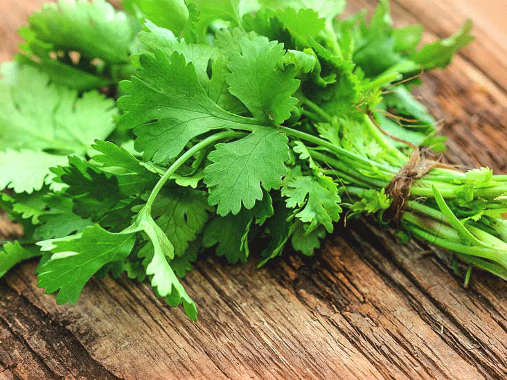 Shakshuka topped off with coriander