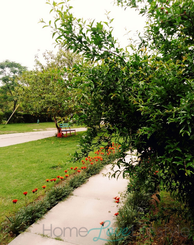 charming family home Peshawar 