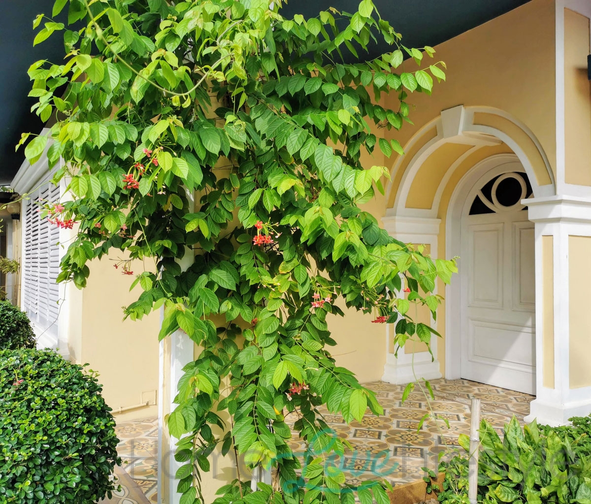 Beautiful Paved Garden