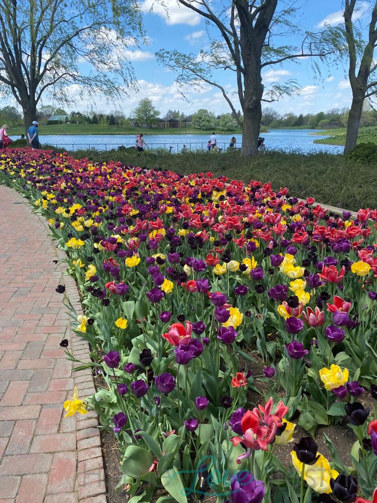 Chicago Botanic Gardens