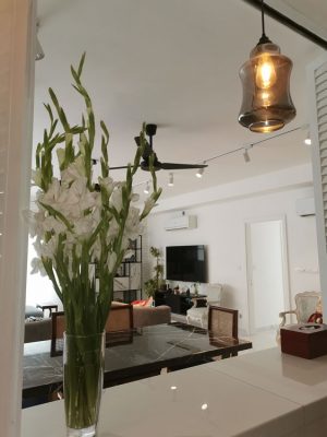 Function Apartment Renovation photo