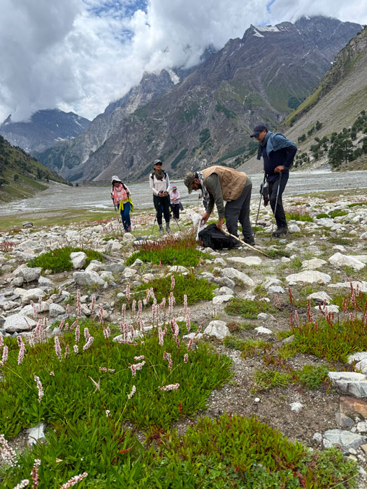 trek Pakistan