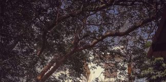 Lost Heritage: B4 Kamla Nehru Road
